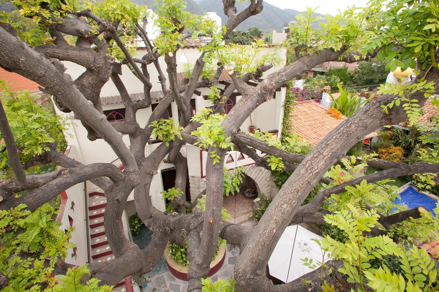 Hotel Casa Blanca Ajijic Exterior photo